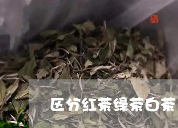 区分红茶绿茶白茶/2023061667270