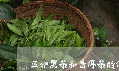 区分黑茶和普洱茶的依据/2023110506957