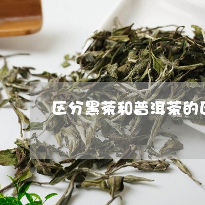 区分黑茶和普洱茶的区别/2023082879692