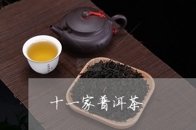 十一家普洱茶/2023081813395