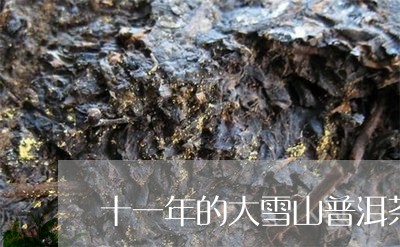 十一年的大雪山普洱茶/2023120698381