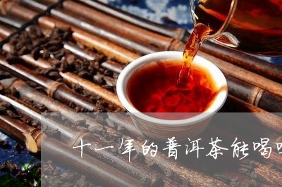 十一年的普洱茶能喝吗/2023092625825