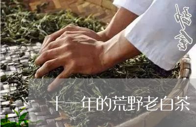 十一年的荒野老白茶/2023071563149