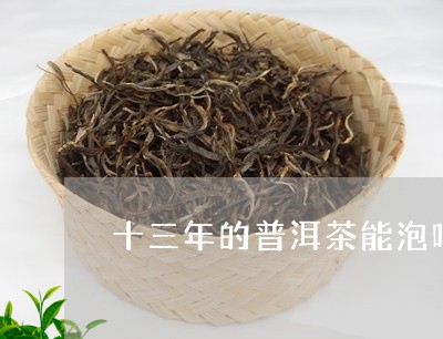 十三年的普洱茶能泡吗/2023092949582