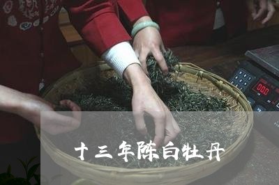 十三年陈白牡丹/2023112379591