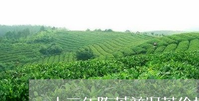 十三年陈茶普洱茶价格/2023080196269