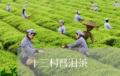 十三村普洱茶/2023042919565