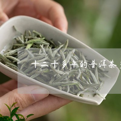 十二十多年的普洱茶多少钱/2023110248624