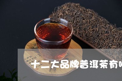 十二大品牌普洱茶有哪些/2023110162916