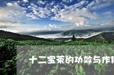 十二宝茶的功效与作用/2023060969470