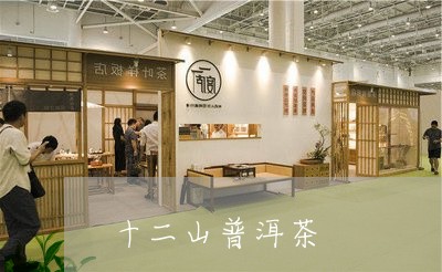 十二山普洱茶/2023042964114