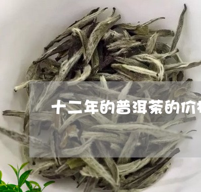 十二年的普洱茶的价格/2023062053237