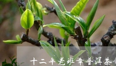 十二年老班章普洱茶饼/2023061472735