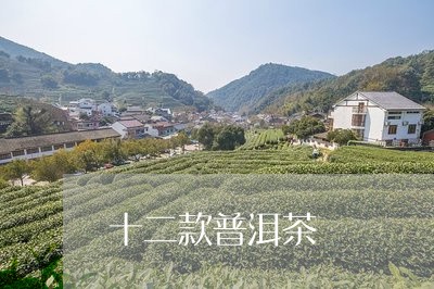 十二款普洱茶/2023042958739