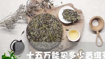 十五万能买多少普洱茶/2023062303816