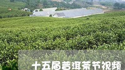 十五届普洱茶节视频/2023091573946