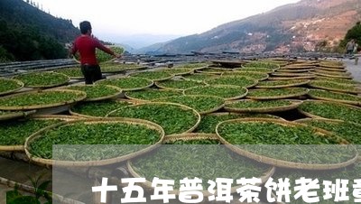 十五年普洱茶饼老班章/2023092520403