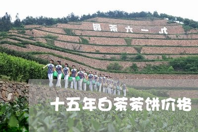 十五年白茶茶饼价格/2023071525161