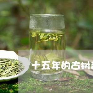 十五年的古树普洱茶饼/2023061519262