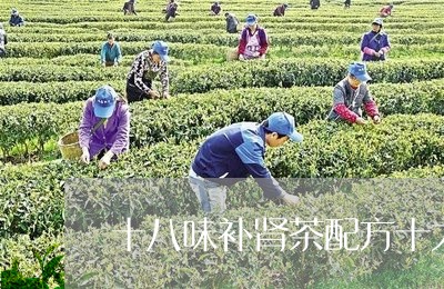 十八味补肾茶配方十大保健茶/2023052636162