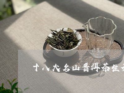 十八大名山普洱茶生茶/2023100638269