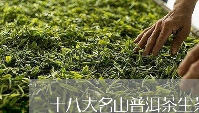 十八大名山普洱茶生茶小罐/2023112832505