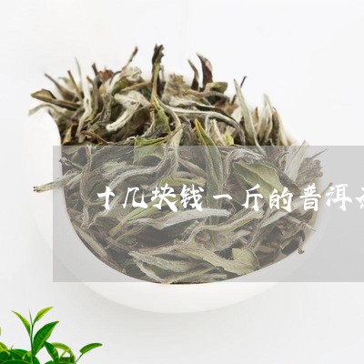 十几块钱一斤的普洱茶/2023092534058