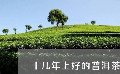 十几年上好的普洱茶饼/2023092657260