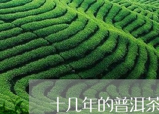 十几年的普洱茶怎么样/2023061469704