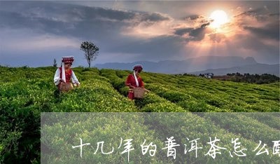 十几年的普洱茶怎么醒茶/2023101747469