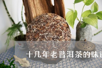 十几年老普洱茶的味道/2023061401735