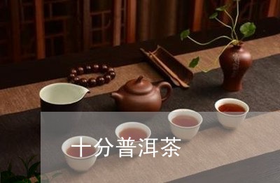 十分普洱茶/2023081785049