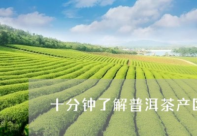 十分钟了解普洱茶产区/2023062877571