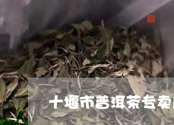 十堰市普洱茶专卖店地址/2023102443837