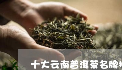 十大云南普洱茶名牌排名/2023121569481