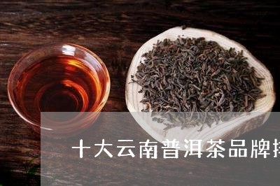 十大云南普洱茶品牌排名榜/2023110218414