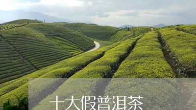 十大假普洱茶/2023090601703