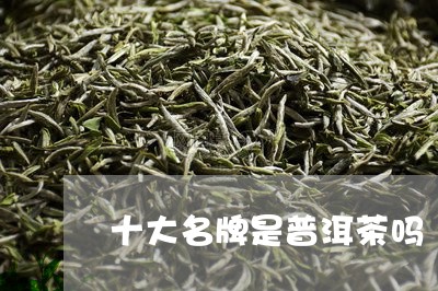 十大名牌是普洱茶吗/2023091596179