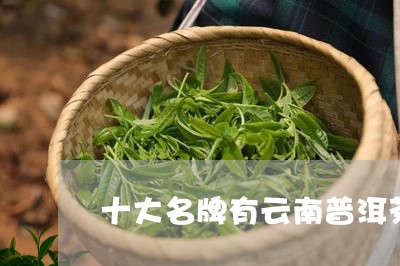 十大名牌有云南普洱茶/2023120693838