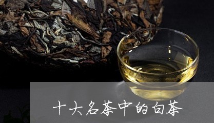 十大名茶中的白茶/2023061509173