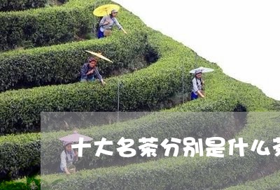 十大名茶分别是什么茶/2023071674814