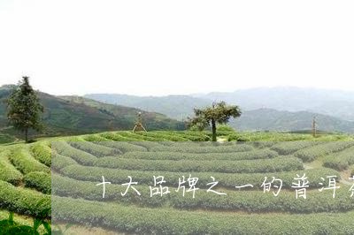 十大品牌之一的普洱茶/2023092642848