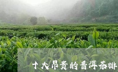 十大昂贵的普洱茶排名/2023063039793