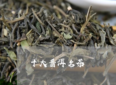 十大普洱名茶/2023042929086