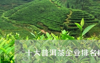 十大普洱茶企业排名榜最新/2023112541824