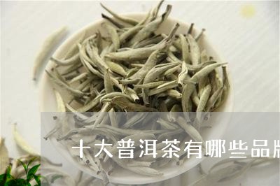 十大普洱茶有哪些品牌/2023092901505