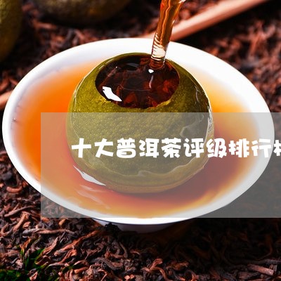 十大普洱茶评级排行榜最新/2023112421414