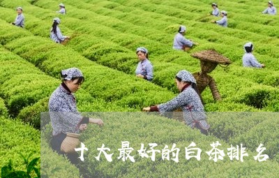 十大最好的白茶排名/2023071627382