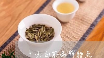 十大白茶品牌特点/2023061513139