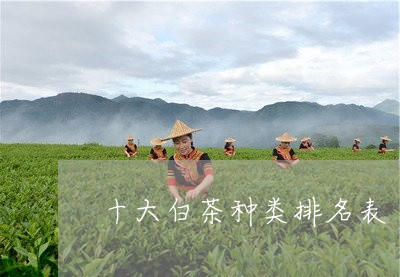 十大白茶种类排名表/2023121749360